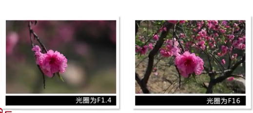 26.png